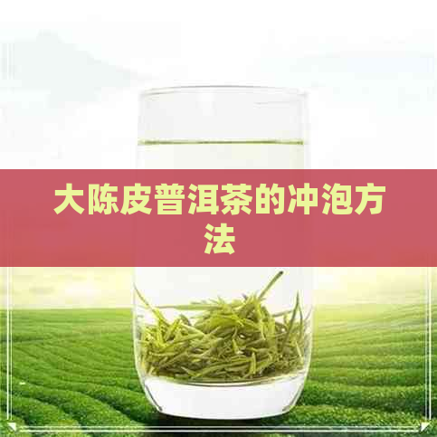 大陈皮普洱茶的冲泡方法