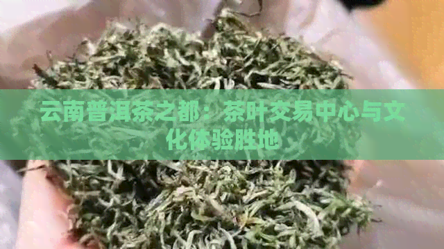 云南普洱茶之都：茶叶交易中心与文化体验胜地