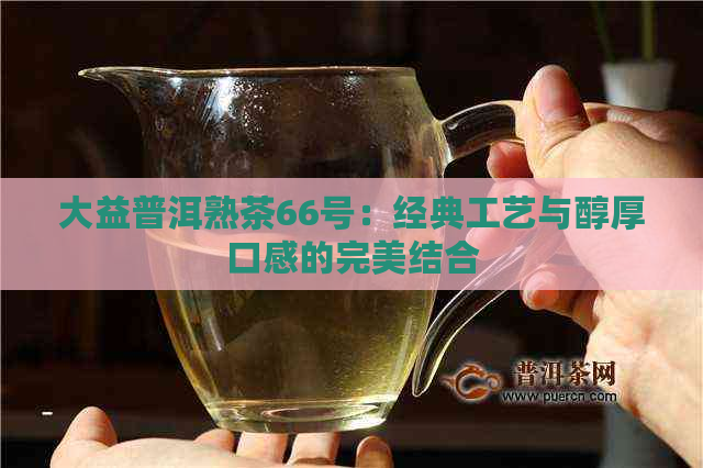 大益普洱熟茶66号：经典工艺与醇厚口感的完美结合