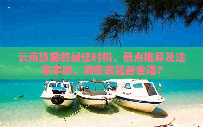 云南旅游的更佳时机、景点推荐及注意事项，现在去是否合适？