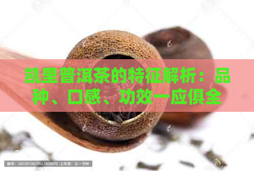 凯里普洱茶的特征解析：品种、口感、功效一应俱全，助你全面了解这种茶叶！