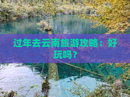 过年去云南旅游攻略：好玩吗？