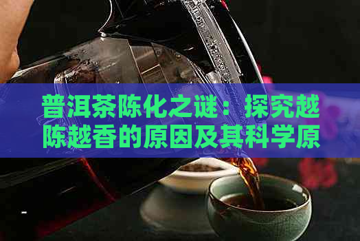 普洱茶陈化之谜：探究越陈越香的原因及其科学原理