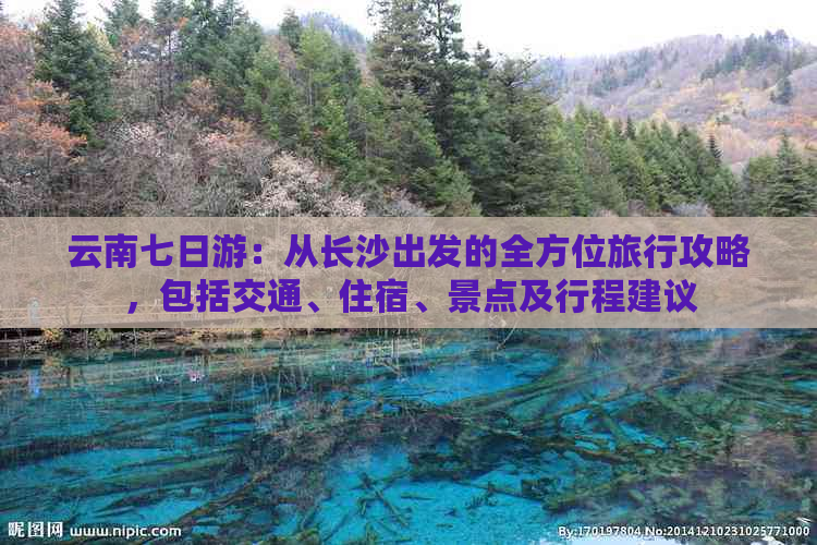 云南七日游：从长沙出发的全方位旅行攻略，包括交通、住宿、景点及行程建议