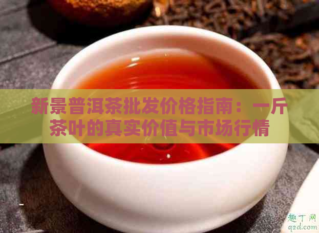 新景普洱茶批发价格指南：一斤茶叶的真实价值与市场行情