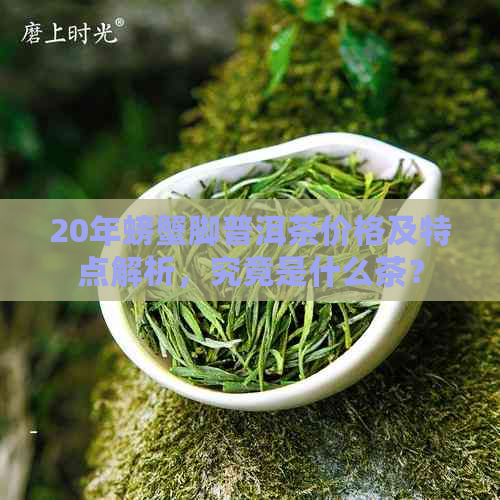 20年螃蟹脚普洱茶价格及特点解析，究竟是什么茶？