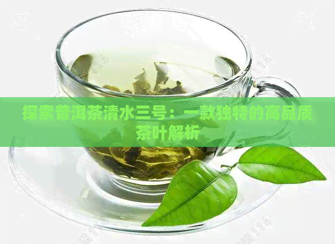 探索普洱茶清水三号：一款独特的高品质茶叶解析