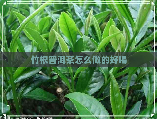 竹根普洱茶怎么做的好喝