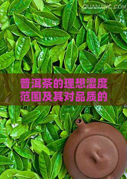 普洱茶的理想湿度范围及其对品质的影响