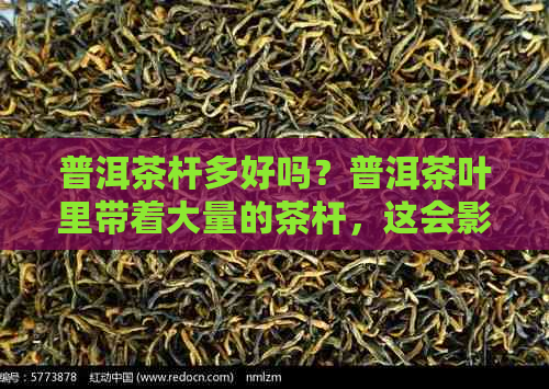 普洱茶杆多好吗？普洱茶叶里带着大量的茶杆，这会影响其品质吗？