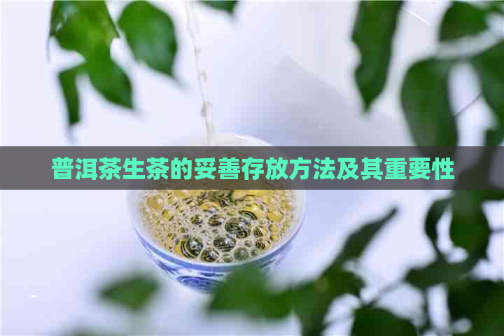 普洱茶生茶的妥善存放方法及其重要性