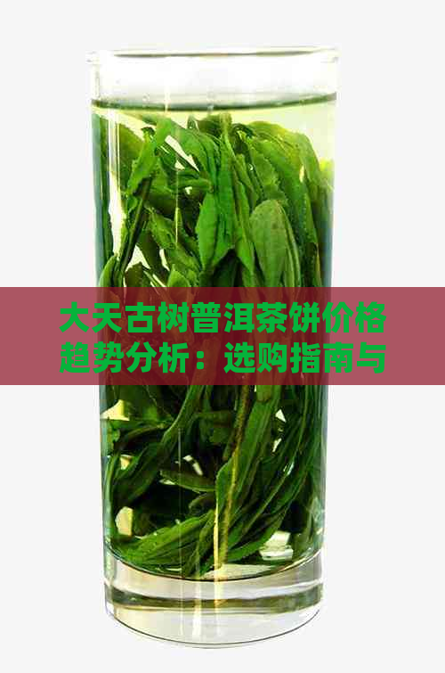 大天古树普洱茶饼价格趋势分析：选购指南与投资建议