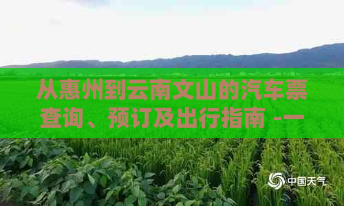 从惠州到云南文山的汽车票查询、预订及出行指南 -一站式解决您的交通需求