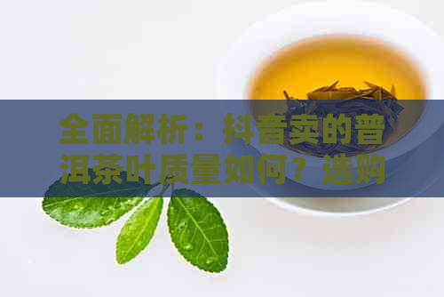 全面解析：抖音卖的普洱茶叶质量如何？选购指南及常见疑问解答