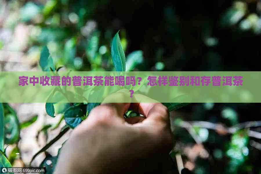 家中收藏的普洱茶能喝吗？怎样鉴别和存普洱茶？