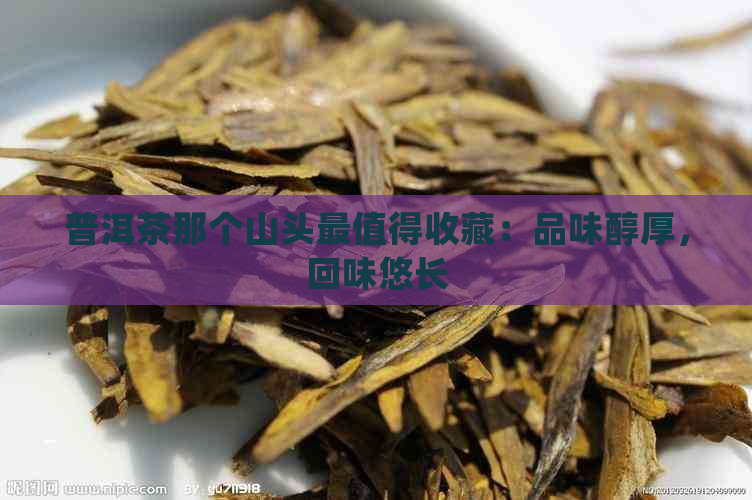 普洱茶那个山头最值得收藏：品味醇厚，回味悠长