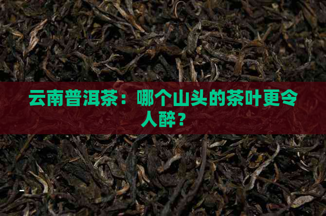 云南普洱茶：哪个山头的茶叶更令人醉？