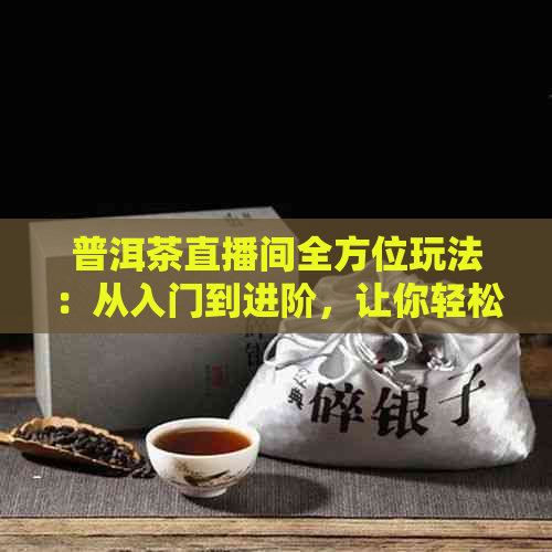 普洱茶直播间全方位玩法：从入门到进阶，让你轻松掌握泡茶技巧和品鉴方法