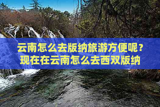 云南怎么去版纳旅游方便呢？现在在云南怎么去西双版纳