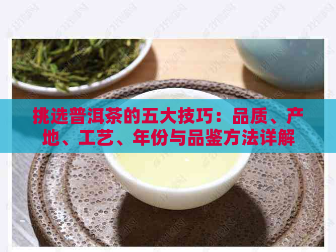 挑选普洱茶的五大技巧：品质、产地、工艺、年份与品鉴方法详解