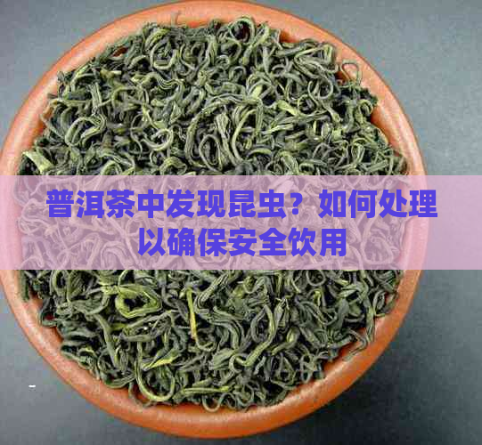 普洱茶中发现昆虫？如何处理以确保安全饮用