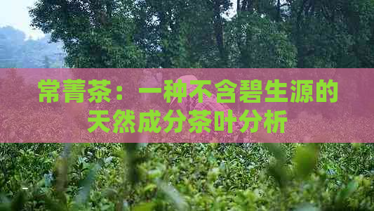 常菁茶：一种不含碧生源的天然成分茶叶分析