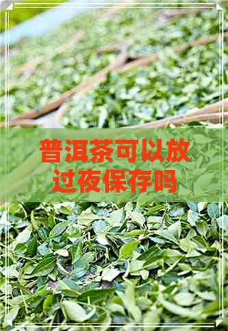 普洱茶可以放过夜保存吗