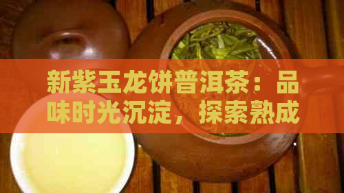 新紫玉龙饼普洱茶：品味时光沉淀，探索熟成之谜