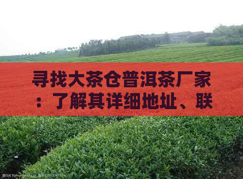 寻找大茶仓普洱茶厂家：了解其详细地址、联系方式及产品质量的全面指南