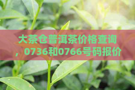 大茶仓普洱茶价格查询，0736和0766号码报价