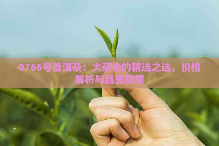 0766号普洱茶：大茶仓的精选之选，价格解析与品鉴指南