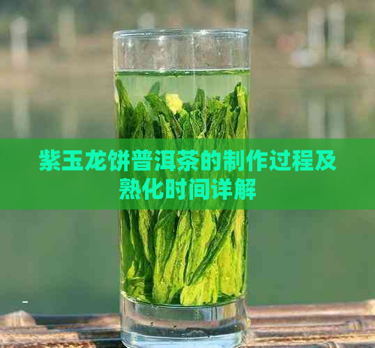 紫玉龙饼普洱茶的制作过程及熟化时间详解