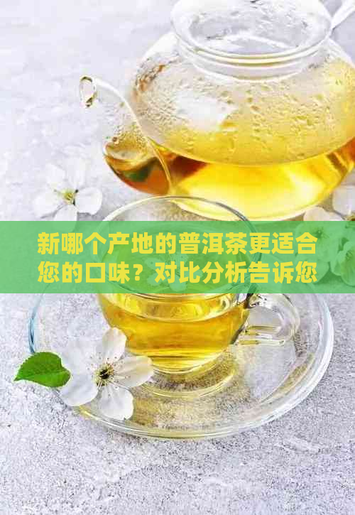 新哪个产地的普洱茶更适合您的口味？对比分析告诉您答案