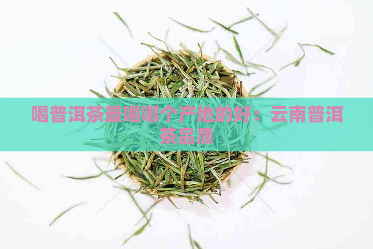 喝普洱茶最喝哪个产地的好：云南普洱茶品质