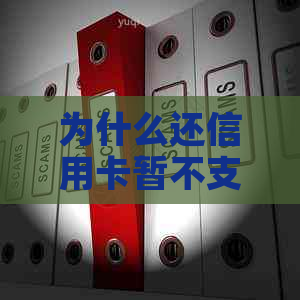 为什么还信用卡暂不支持此卡还款功能-为什么还信用卡暂不支持此卡还款功能呢