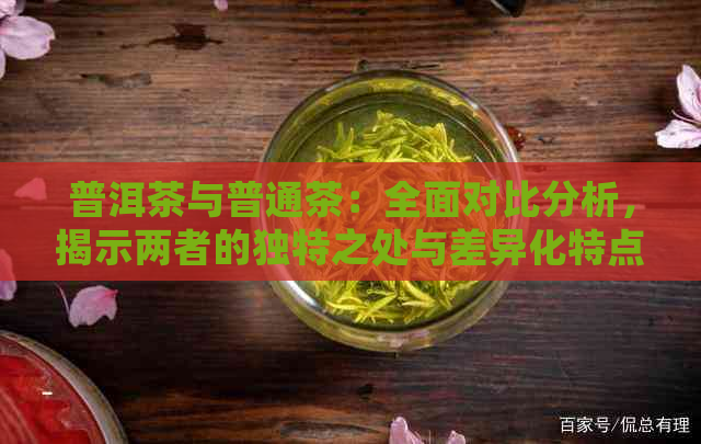 普洱茶与普通茶：全面对比分析，揭示两者的独特之处与差异化特点