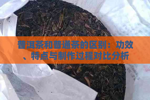 普洱茶和普通茶的区别：功效、特点与制作过程对比分析