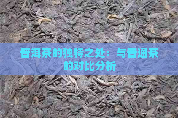 普洱茶的独特之处：与普通茶的对比分析