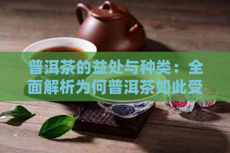 普洱茶的益处与种类：全面解析为何普洱茶如此受欢迎及它对人体健的影响