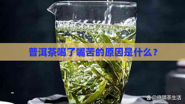 普洱茶喝了嘴苦的原因是什么？