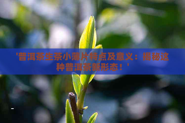 '普洱茶生茶小薄片特点及意义：揭秘这种普洱茶新形态！'