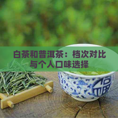 白茶和普洱茶：档次对比与个人口味选择