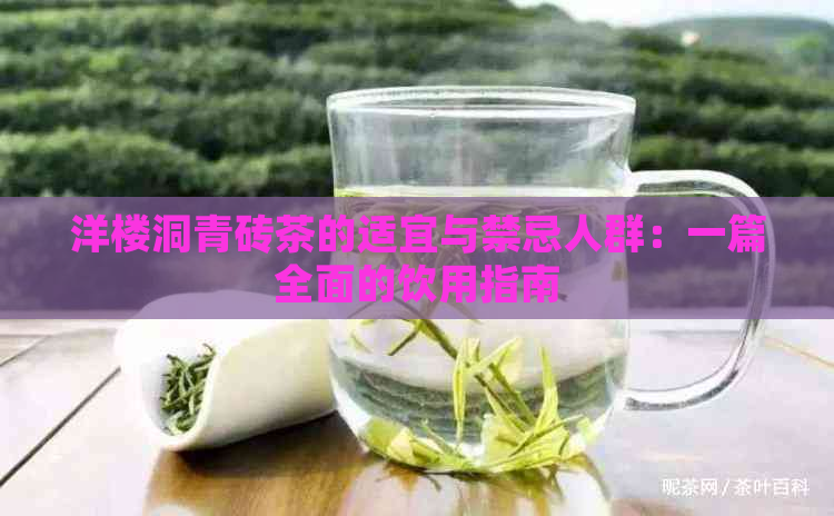 洋楼洞青砖茶的适宜与禁忌人群：一篇全面的饮用指南