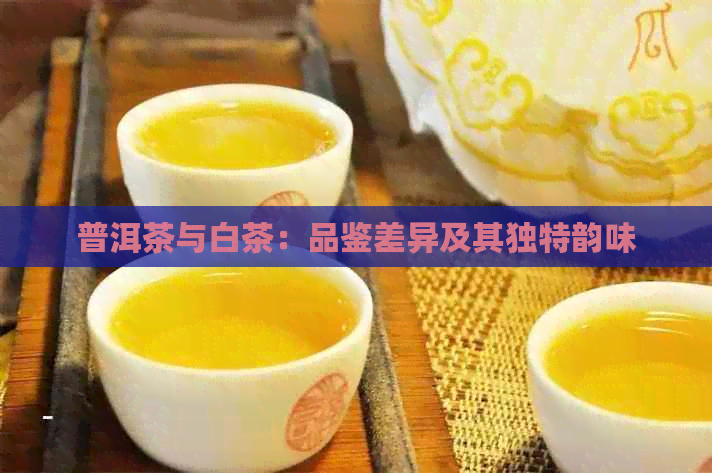 普洱茶与白茶：品鉴差异及其独特韵味