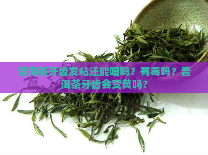 普洱茶牙齿发粘还能喝吗？有吗？普洱茶牙齿会变黄吗？