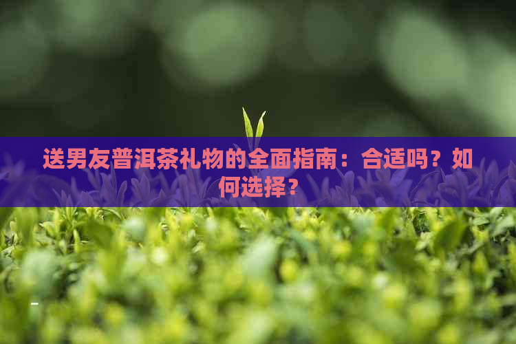 送男友普洱茶礼物的全面指南：合适吗？如何选择？