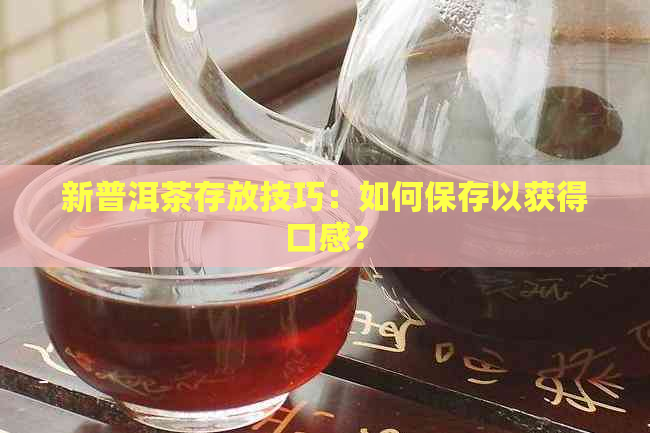 新普洱茶存放技巧：如何保存以获得口感？