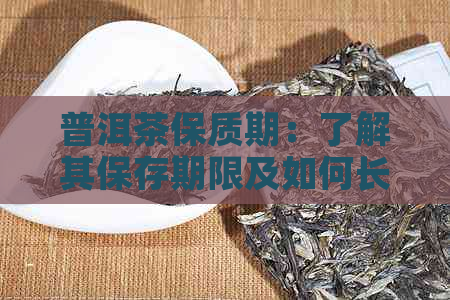 普洱茶保质期：了解其保存期限及如何长茶叶的新度