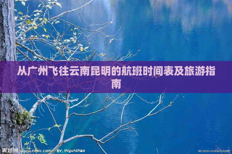 从广州飞往云南昆明的航班时间表及旅游指南