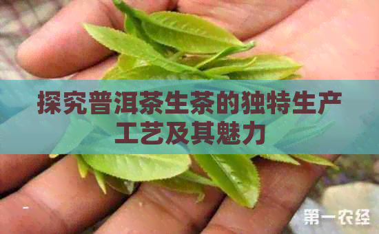 探究普洱茶生茶的独特生产工艺及其魅力